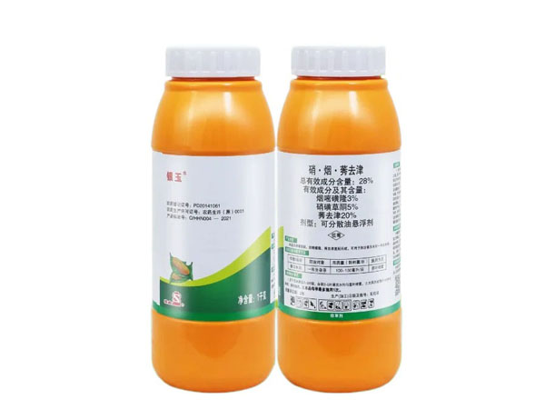 玉米田小麥苗太多用啥除草劑好？使用硝煙莠去津配方